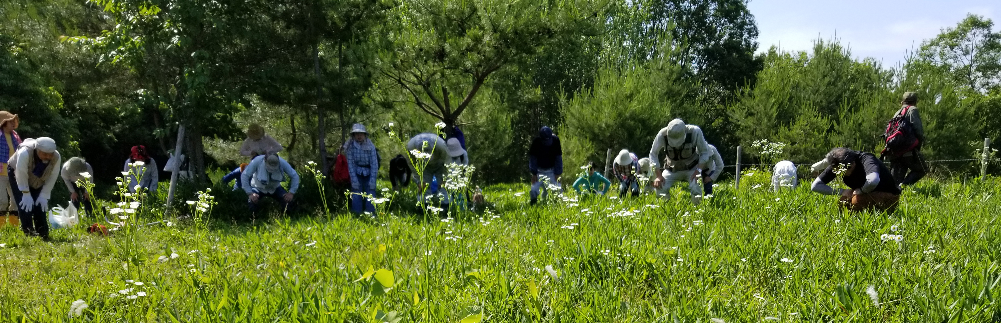 和泉市信太山丘陵里山自然公園